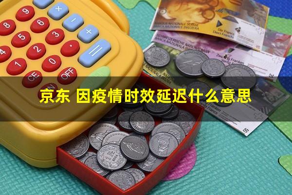 京东 因疫情时效延迟什么意思